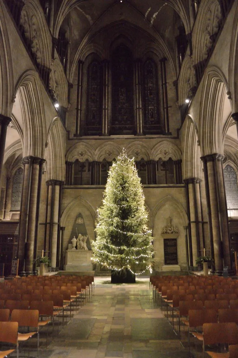 A tall Christmas tree in the nave of Salisbury Cathedral, between rows of chairs